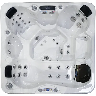 Avalon EC-849L hot tubs for sale in Conroe