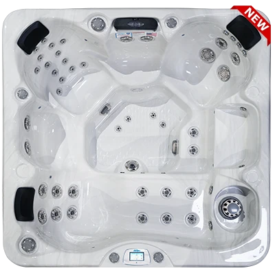 Avalon-X EC-849LX hot tubs for sale in Conroe